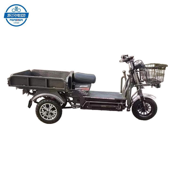 3 Wheel Electric Bicycle